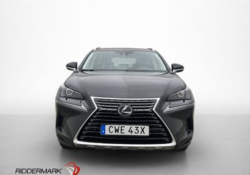 Lexus NX, 2019