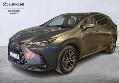 Lexus NX, 2025