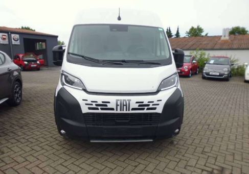 Fiat Ducato, 2024