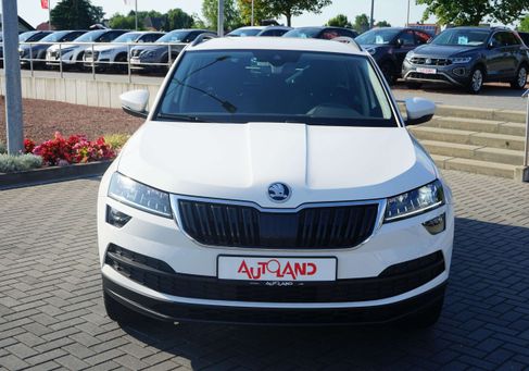 Skoda Karoq, 2020