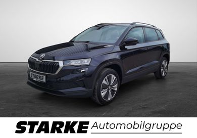 Skoda Karoq, 2024