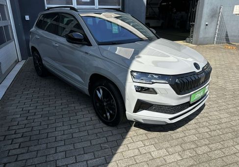 Skoda Karoq, 2024
