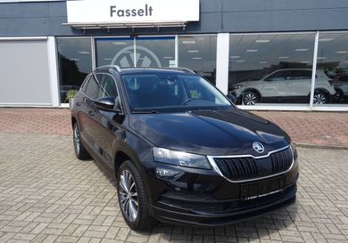 Skoda Karoq, 2020