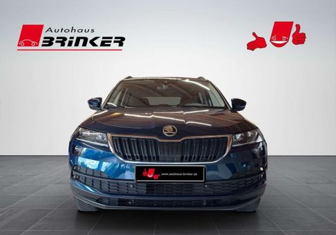 Skoda Karoq, 2019