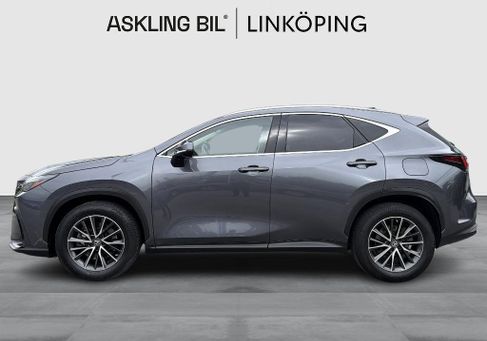 Lexus NX, 2022