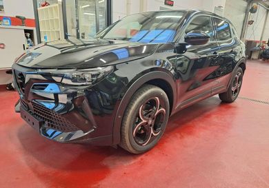 Alfa Romeo Junior, 2026
