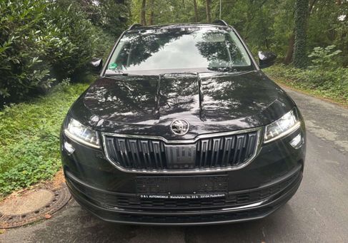 Skoda Karoq, 2019