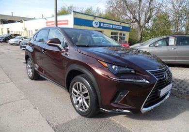 Lexus NX 300, 2019