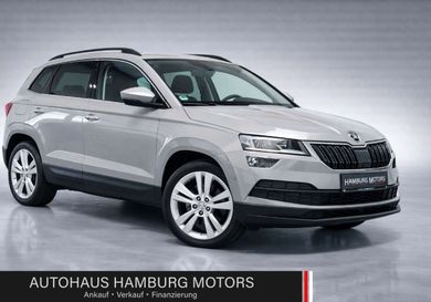 Skoda Karoq, 2020
