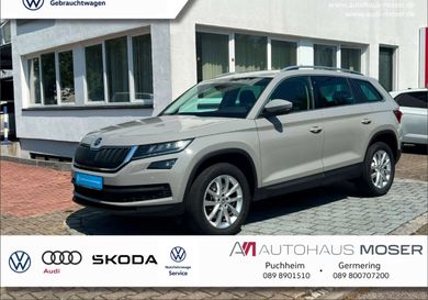 Skoda Kodiaq, 2020