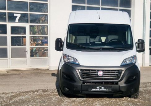 Fiat Ducato, 2019