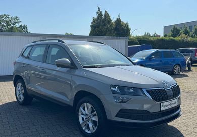 Skoda Karoq, 2020
