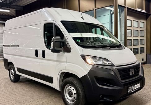 Fiat Ducato, 2024