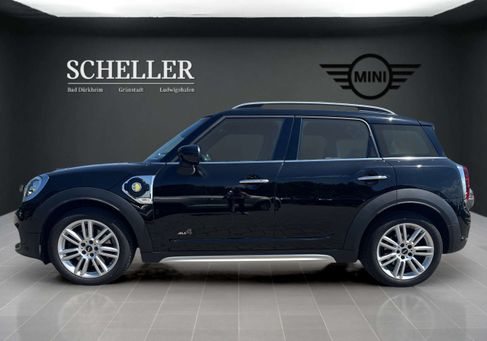 MINI, 2019