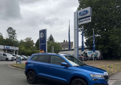 Skoda Karoq, 2020