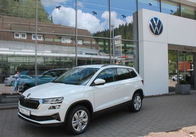 Skoda Karoq, 2024