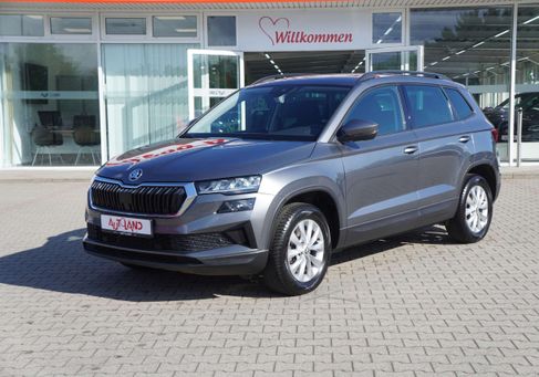 Skoda Karoq, 2024
