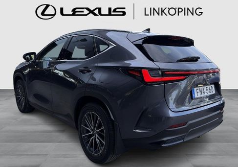Lexus NX, 2022