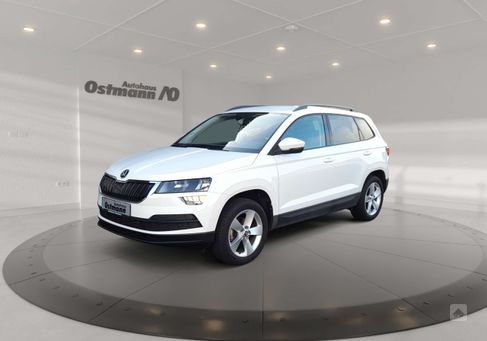 Skoda Karoq, 2019