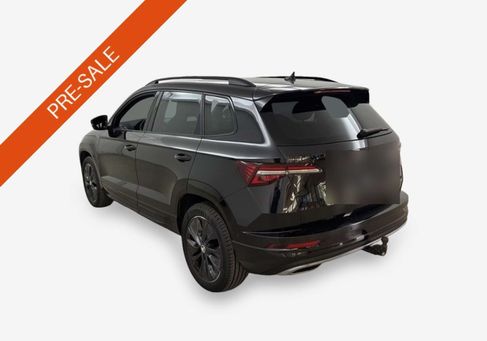 Skoda Karoq, 2024 3