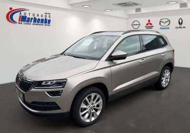 Skoda Karoq, 2019