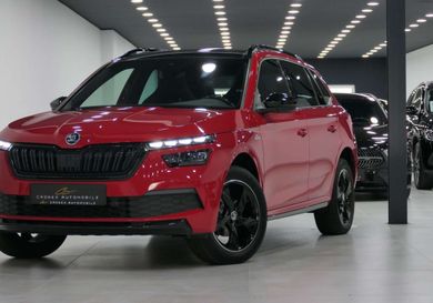 Skoda Kamiq, 2020