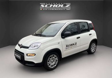 Fiat Panda, 2024