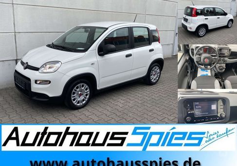 Fiat Panda, 2023