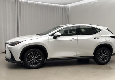 Lexus NX, 2024