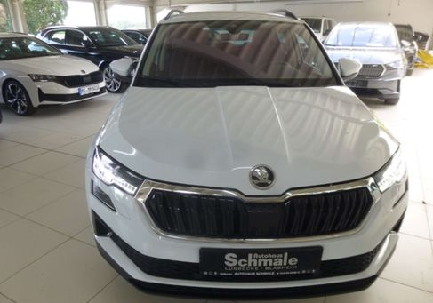 Skoda Karoq, 2024