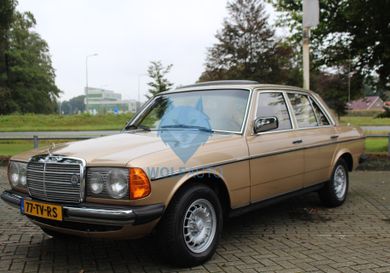 Mercedes-Benz E 230, 1981