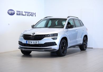 Skoda Karoq, 2020