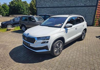 Skoda Karoq, 2022