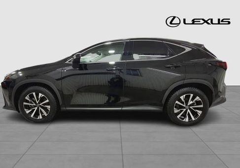 Lexus NX, 2024 2
