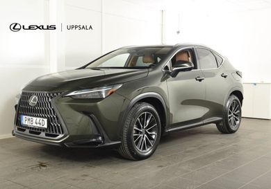 Lexus NX, 2022
