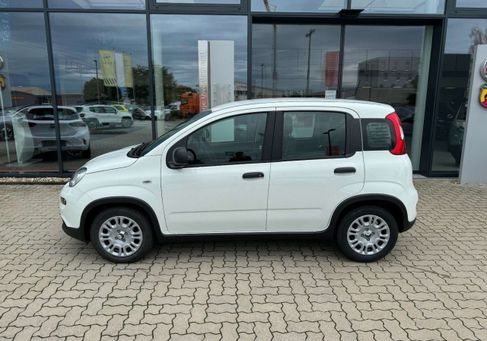 Fiat Panda, 2024