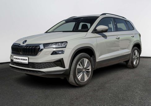 Skoda Karoq, 2023