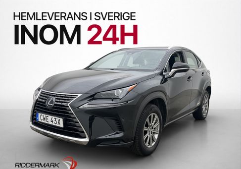 Lexus NX, 2019