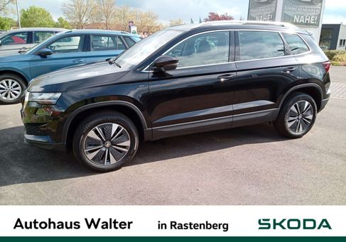 Skoda Karoq, 2024