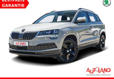 Skoda Karoq, 2021
