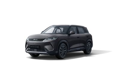 BYD, 2026