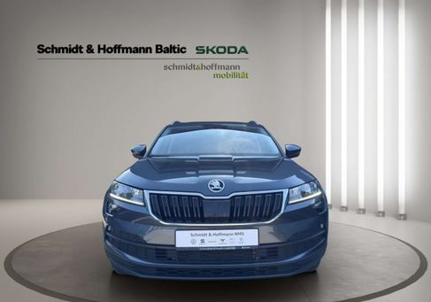Skoda Karoq, 2020