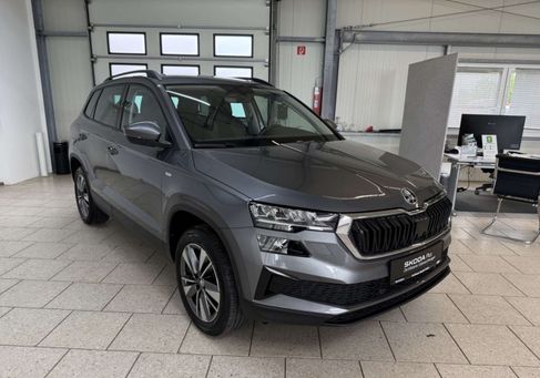 Skoda Karoq, 2019
