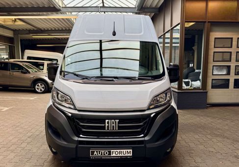 Fiat Ducato, 2021