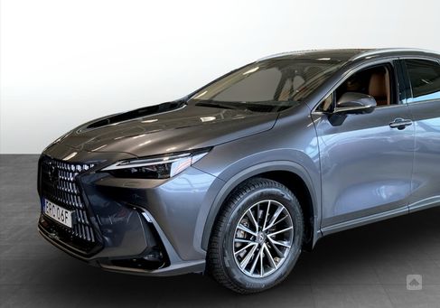 Lexus NX, 2023