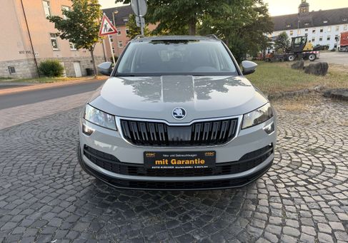 Skoda Karoq, 2020