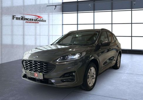 Ford Kuga, 2022