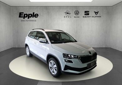 Skoda Karoq, 2025
