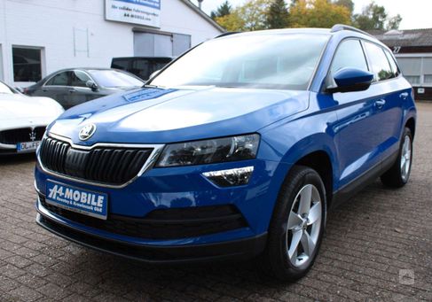 Skoda Karoq, 2019