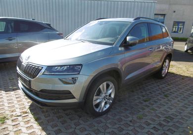 Skoda Karoq, 2019